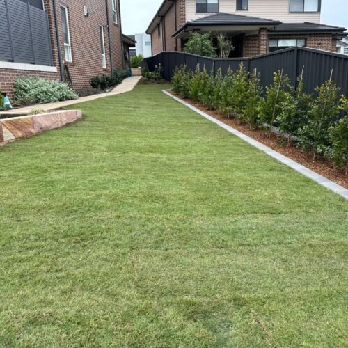 newly landscaped backyard with grass and retaining wall